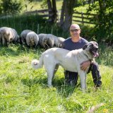 Yves Bruchez, éleveur dans le Val de Bagnes, avec un de ses chiens Berger d'Anatolie ou Kangal.